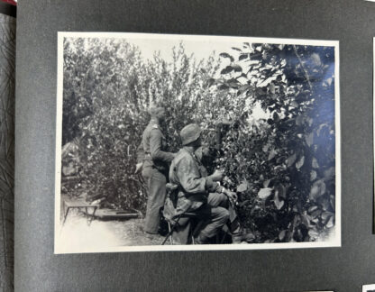 Incredible Grouping for Waffen-SS KIA Infantryman in 3rd SS Panzer Division "Totenkopf" - Image 98