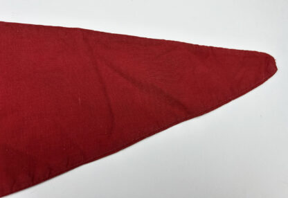 Large Early NSDAP Pennant w/ Veterans Name - Image 8